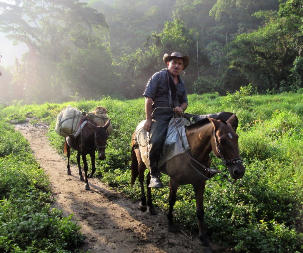 Diseases Impacting Colombia