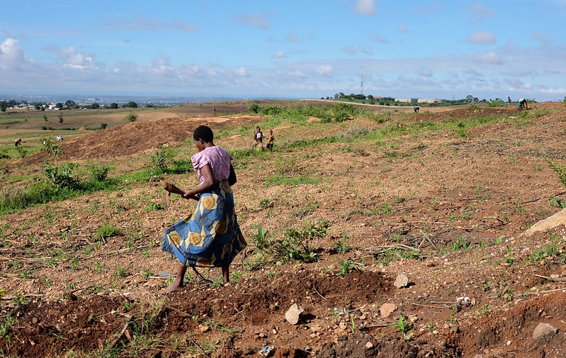 Diseases Impacting Malawi - The Borgen Project