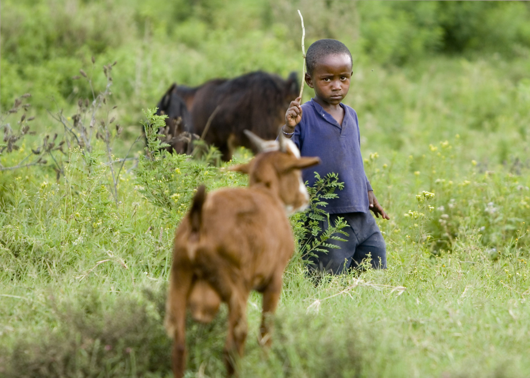 Diseases Impacting Tanzania