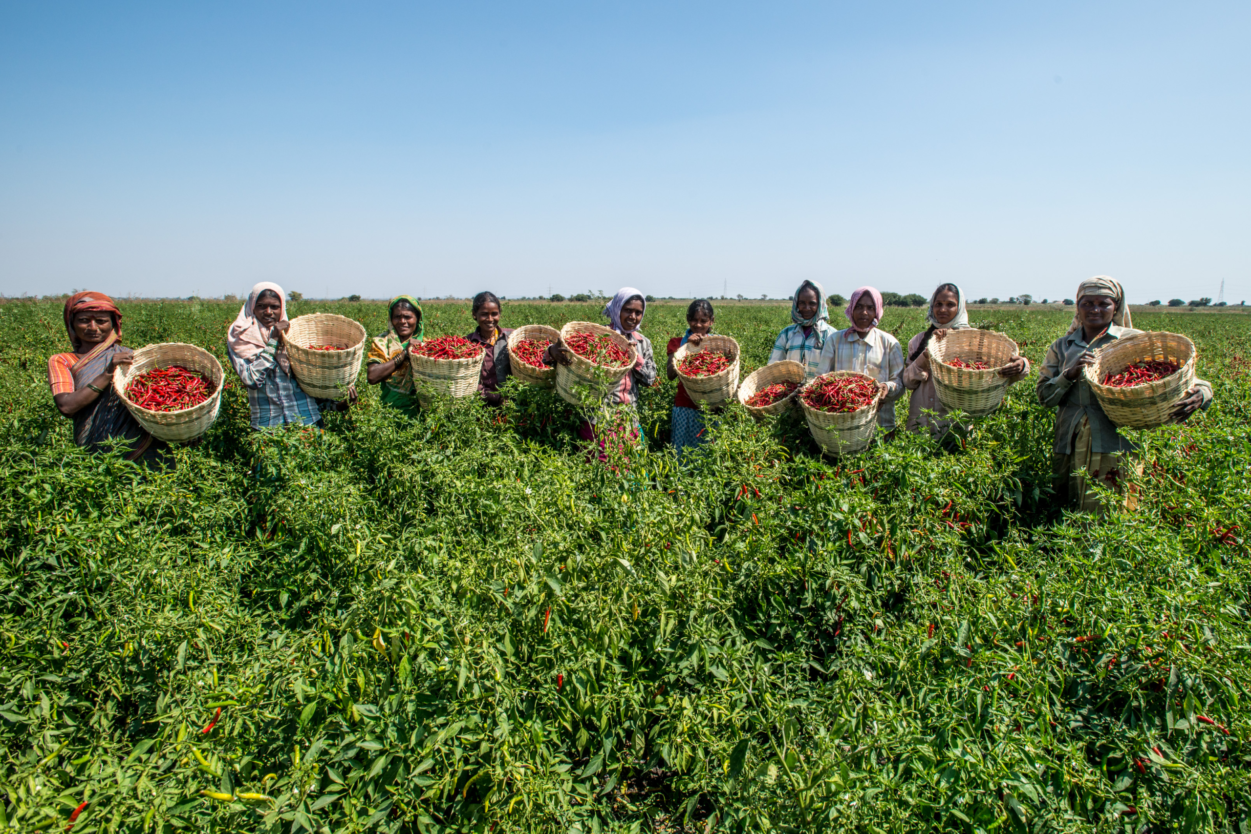 Diversifying Production in India