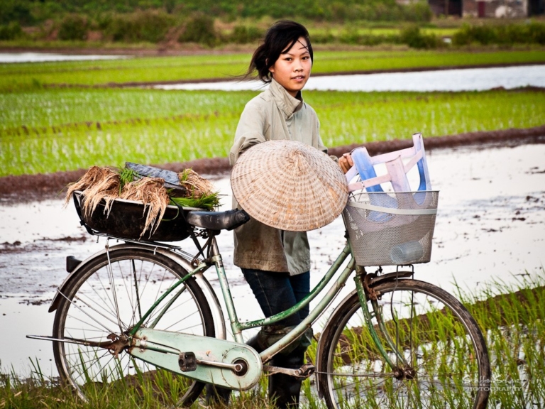 History of Drought in Thailand - The Borgen Project