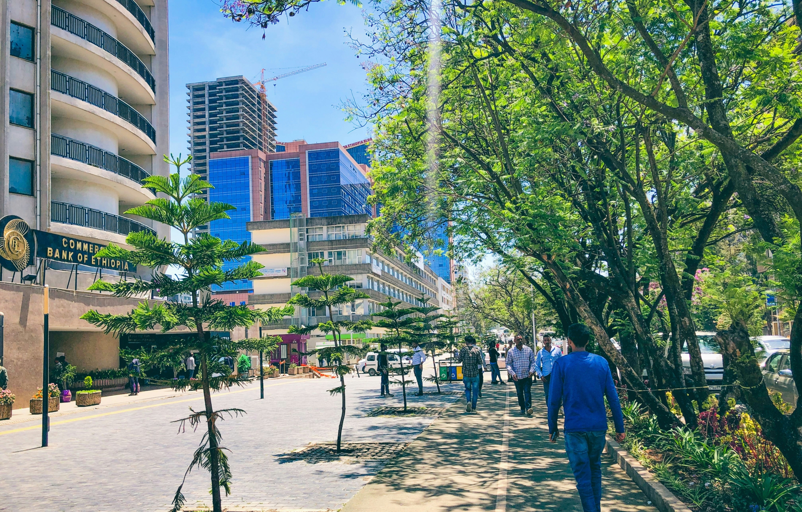 Ethiopia Tumblr Demolishing Mosques In Ethiopia Urbanization Or