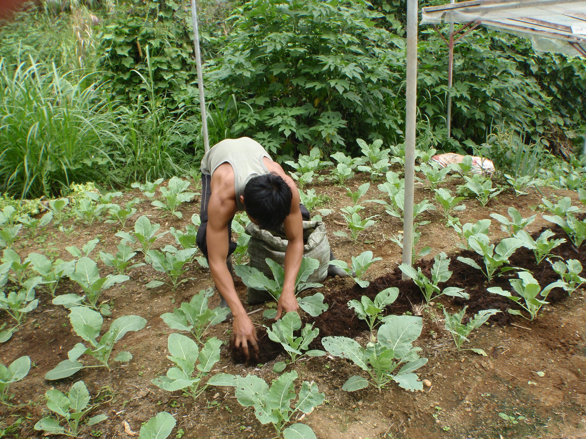 Economic Growth In The Philippines The Borgen Project