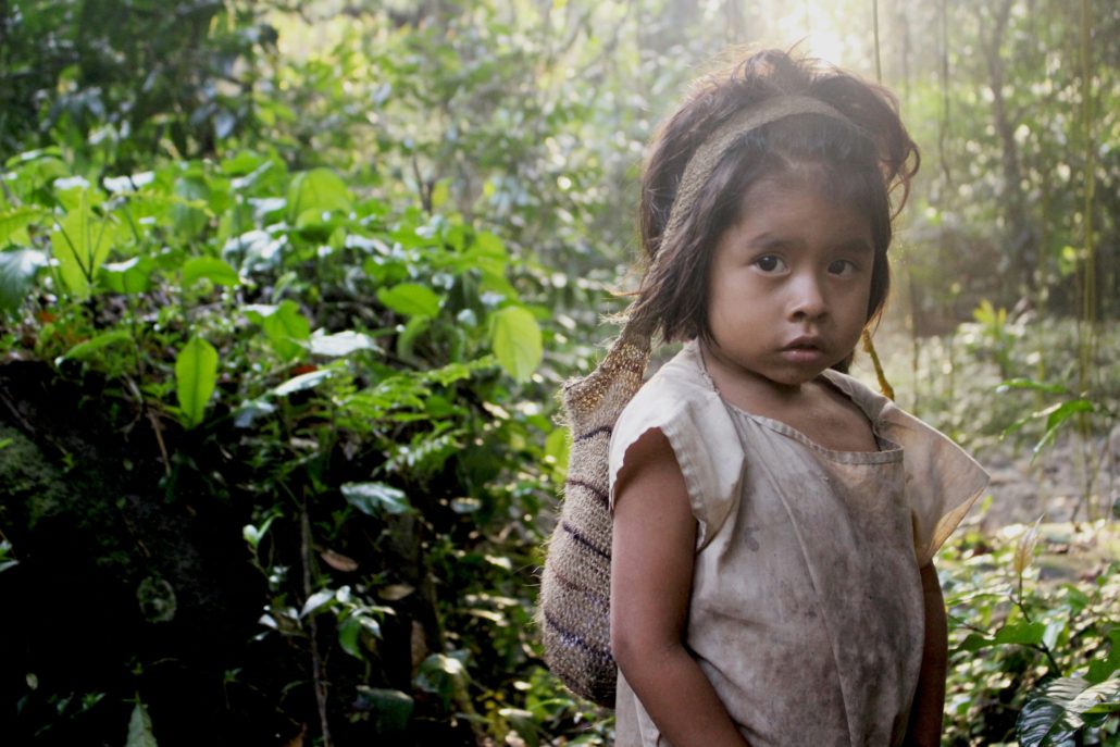 El Nino Exacerbates Food Insecurity