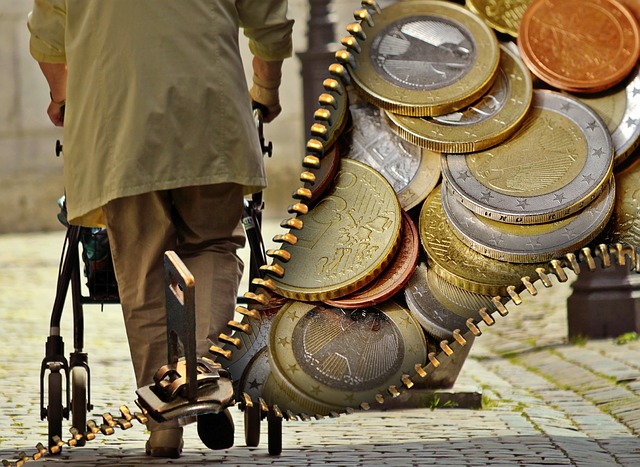 The Old-Age Pension Grant and Elderly Care in South Africa - The 