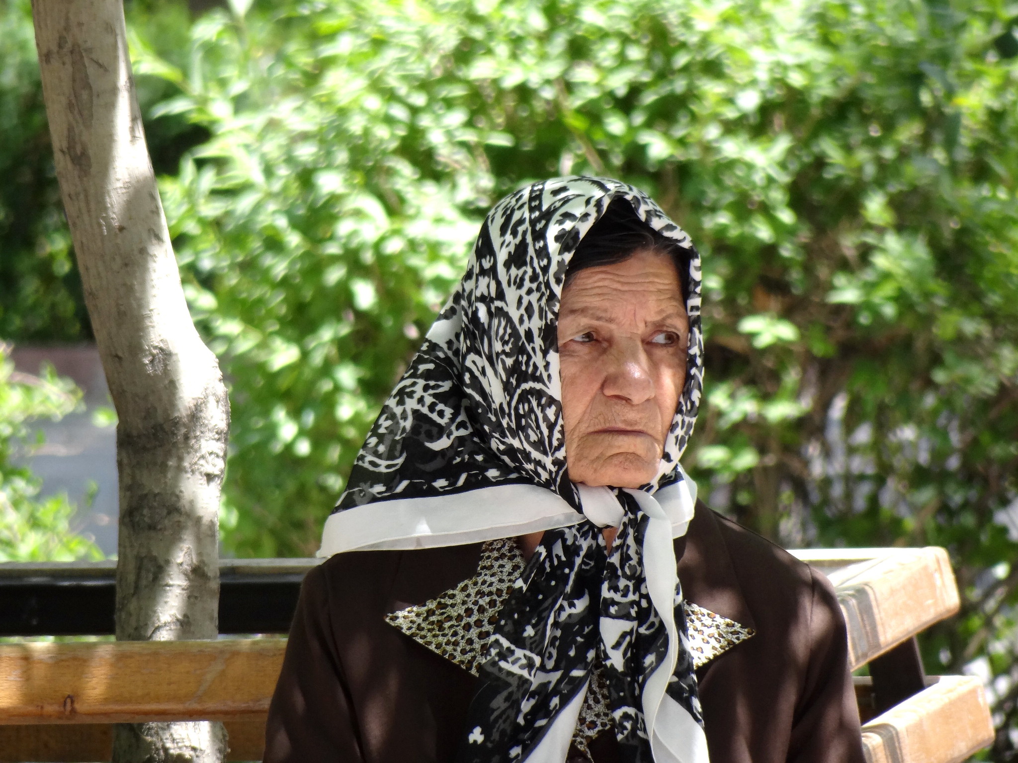 Addressing Elderly Poverty in Iran - The Borgen Project