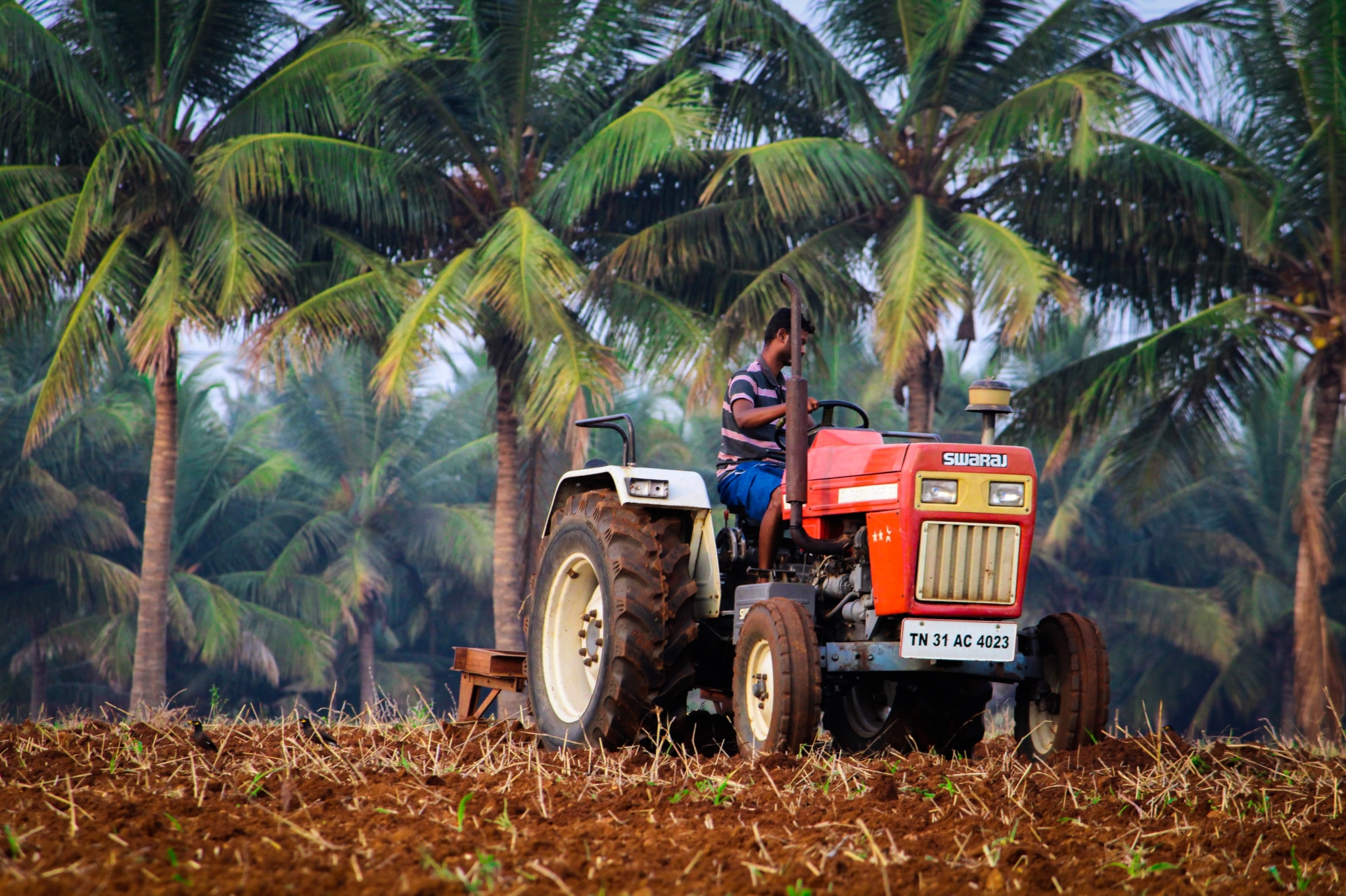 Farmers Using Electric Tractors in India A Growing Trend The Project