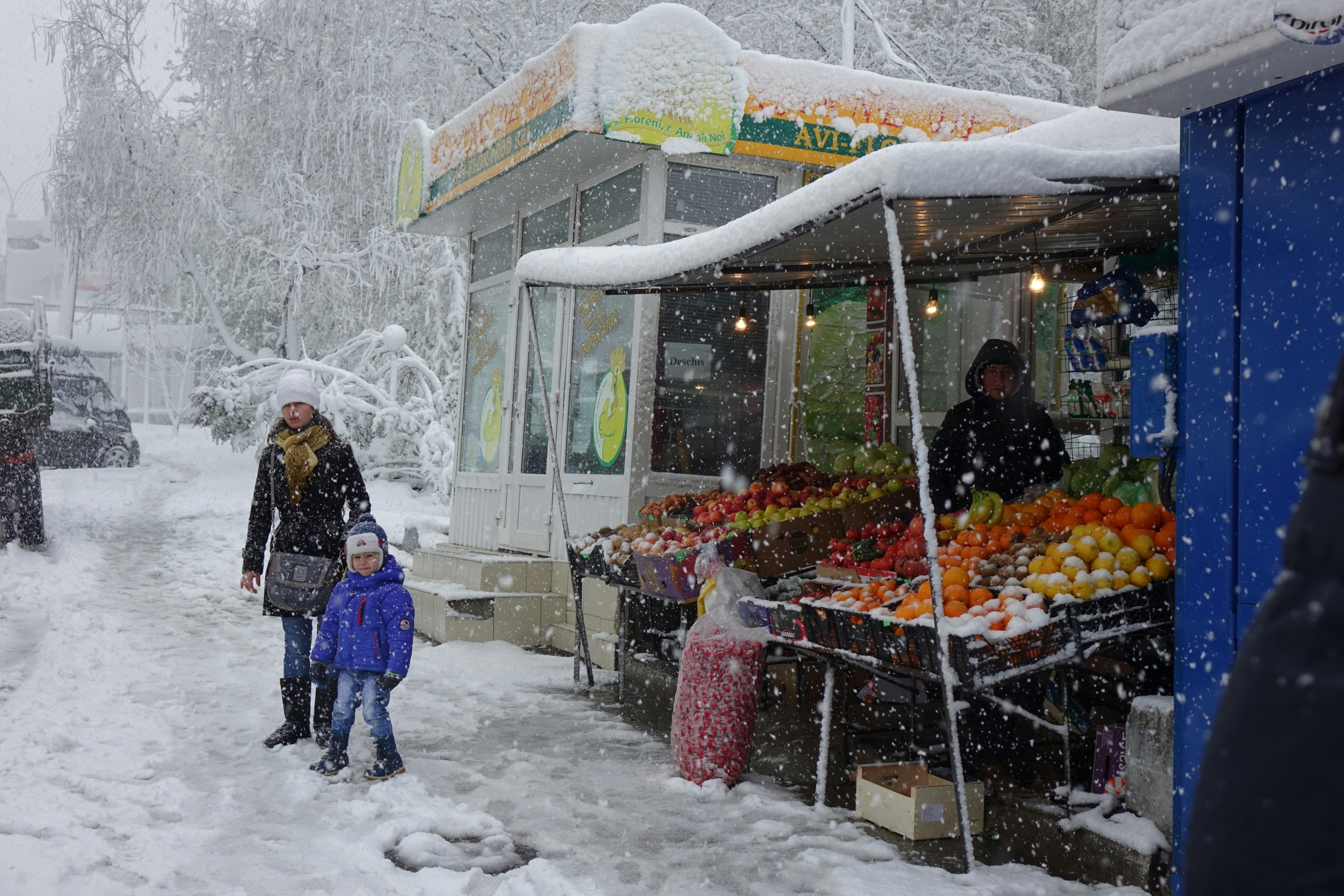 Employment in Moldova