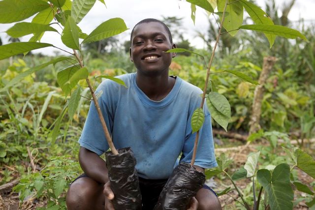 Ending Child Labor in cocoa