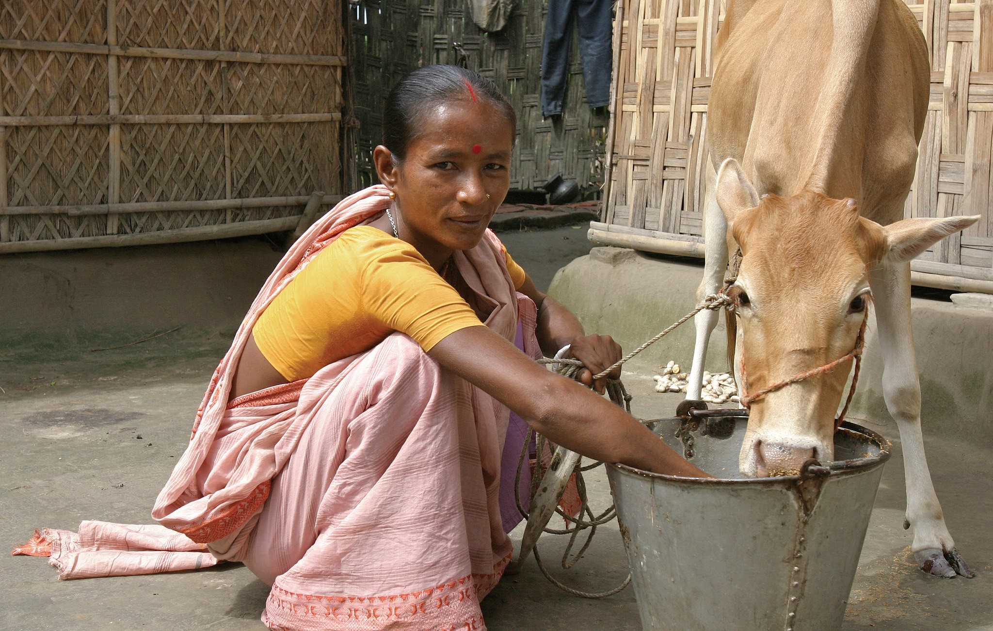 bengali essay on poverty