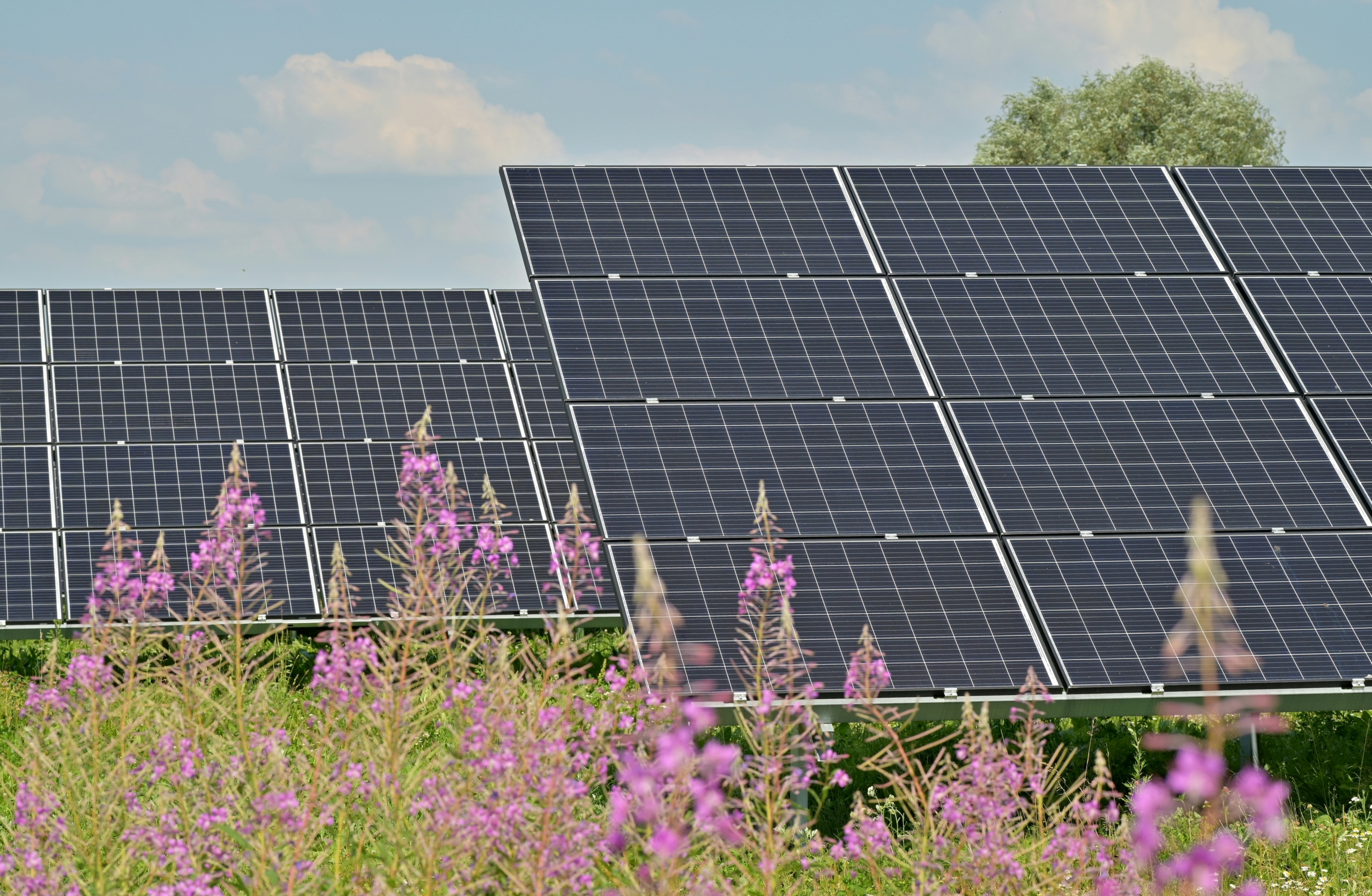 Renewable Energy in Estonia