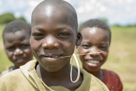 FAO in Mozambique