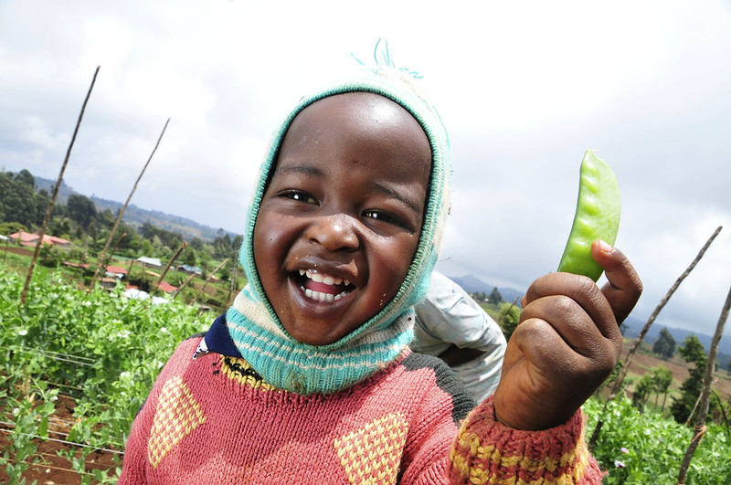 3 Innovations Reducing Food Insecurity In Kenya The Borgen Project