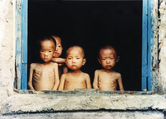 Image result for north korea starvation