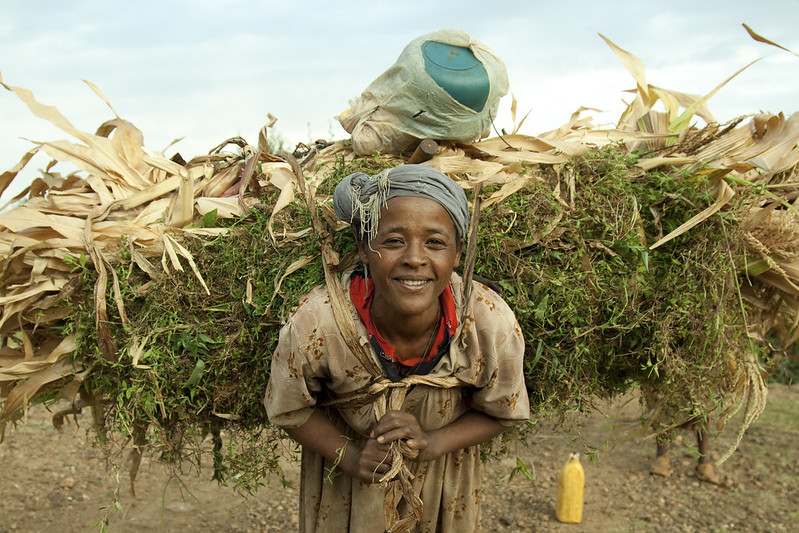 Feed The Future in Ethiopia