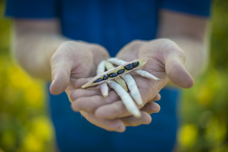 Fighting Food Insecurity in Georgia 