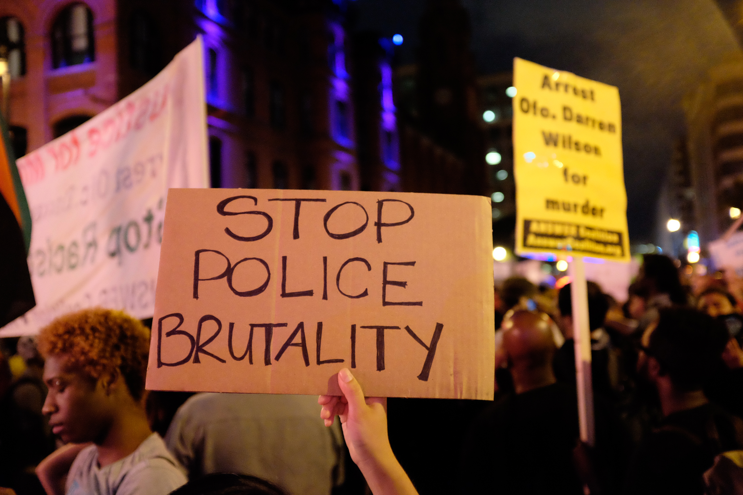reasons for police brutality