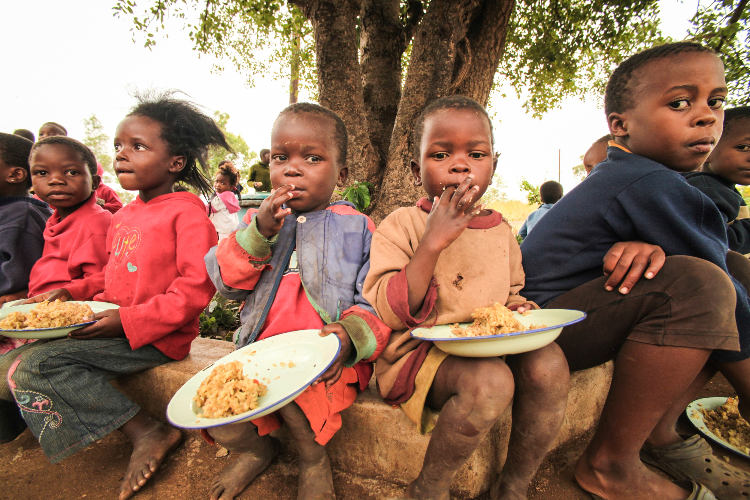 Uganda hunger organizations on Make a GIF