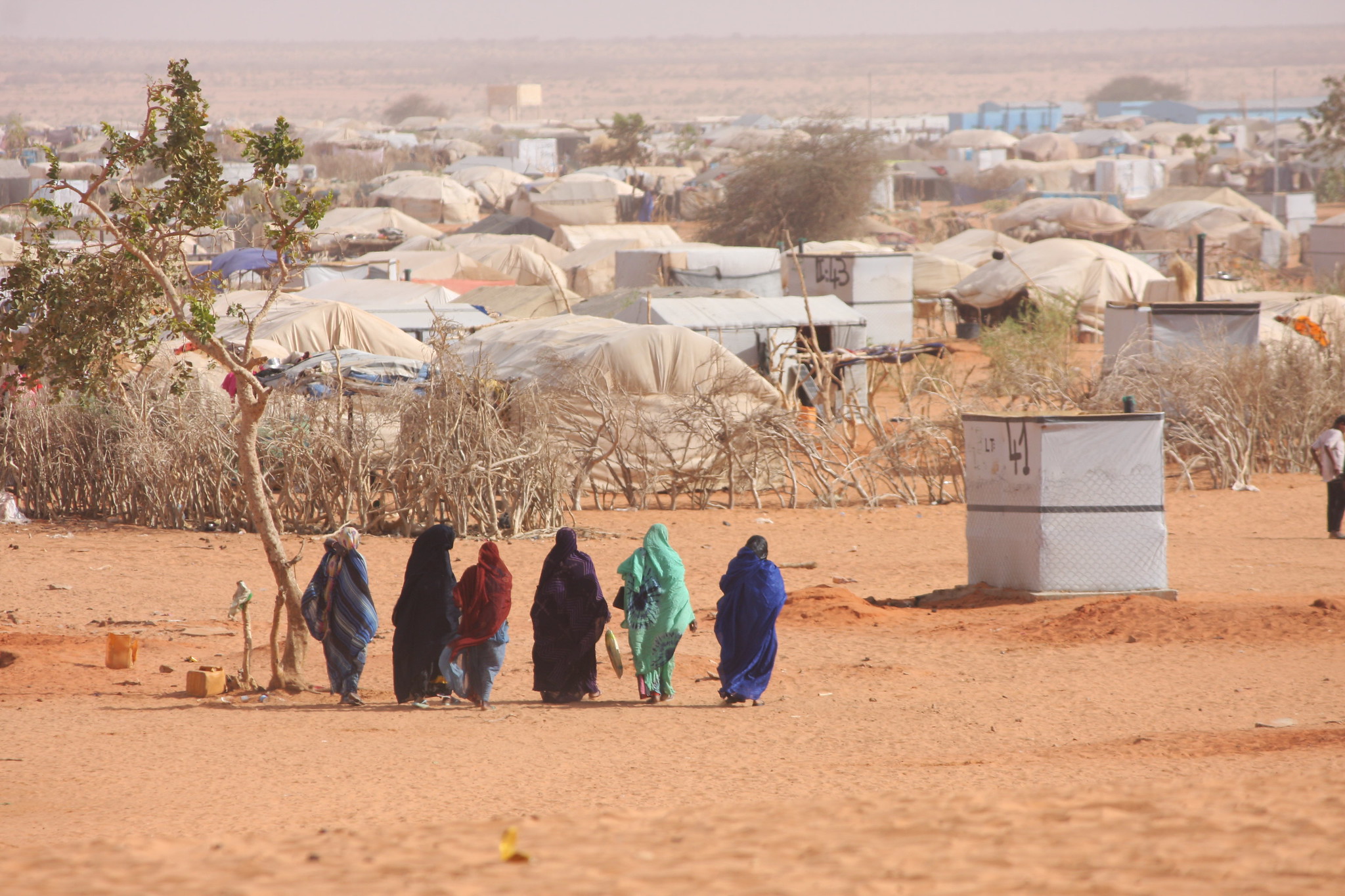 Citizens Fleeing Eritrea  because of Poverty  and Forced Labor