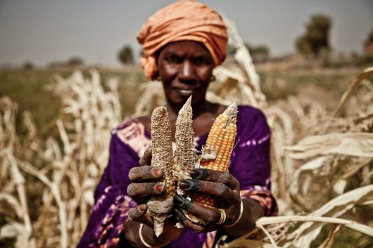 how-mobile-technology-can-help-reduce-food-insecurity