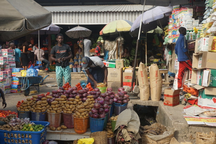 4 Local Startups Addressing Food Insecurity in Nigeria - The Borgen Project