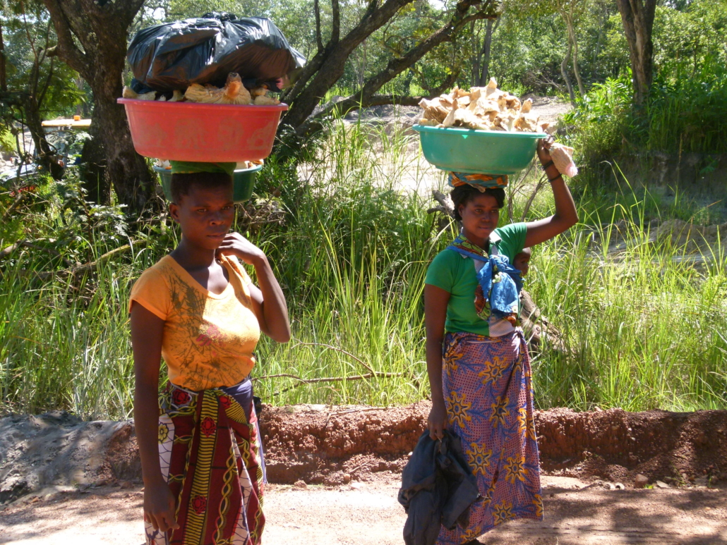 Food Security in Zambia