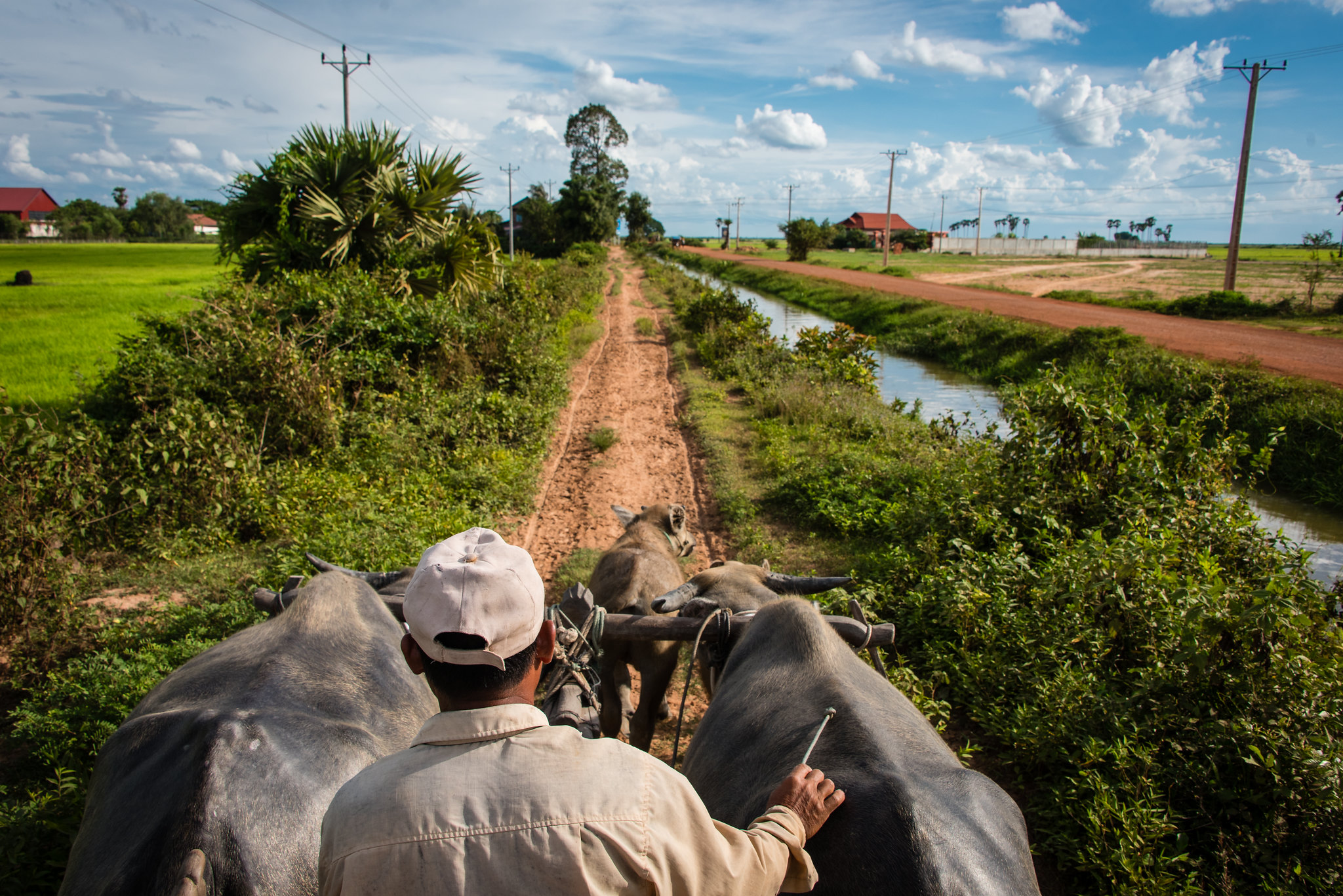 How La Via Campesina is Improving Food Sovereignty Around the World - The Borgen Project