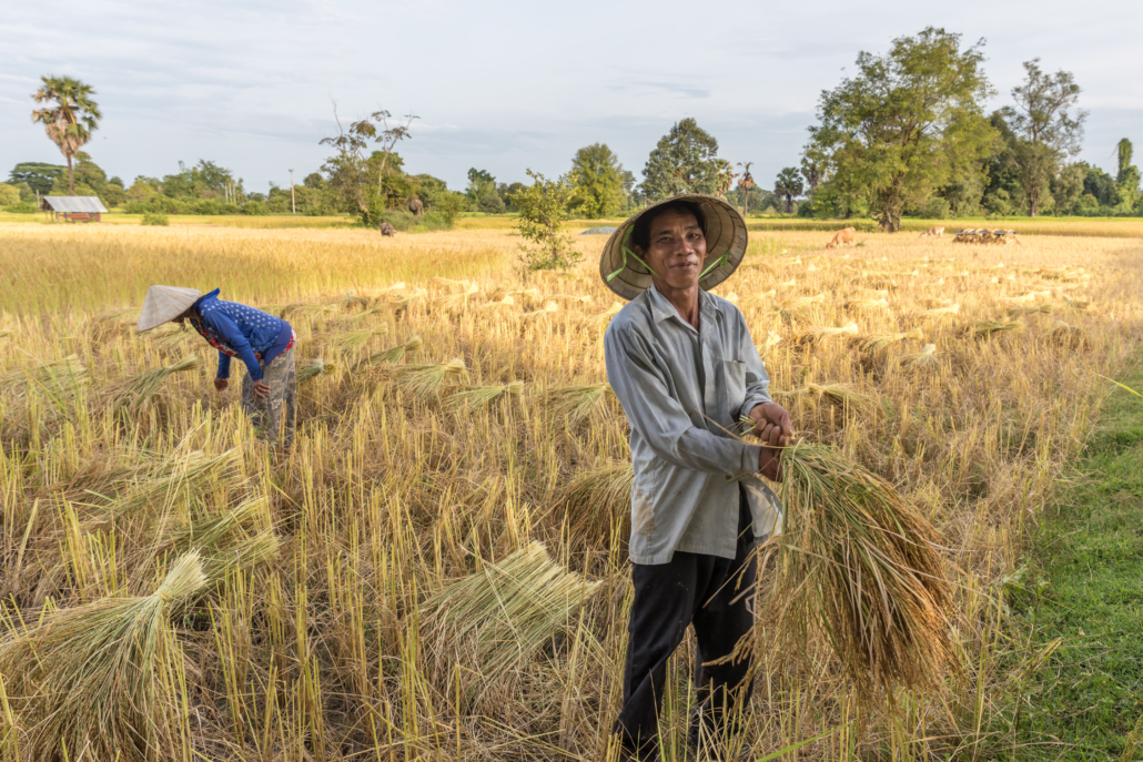 Food Systems in Laos