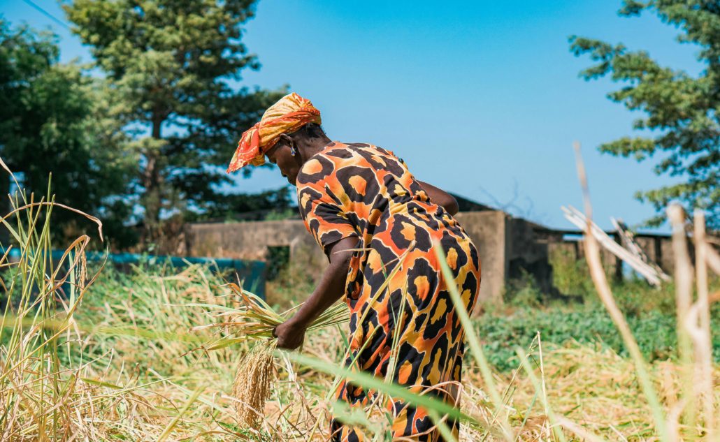 Food Systems in Senegal