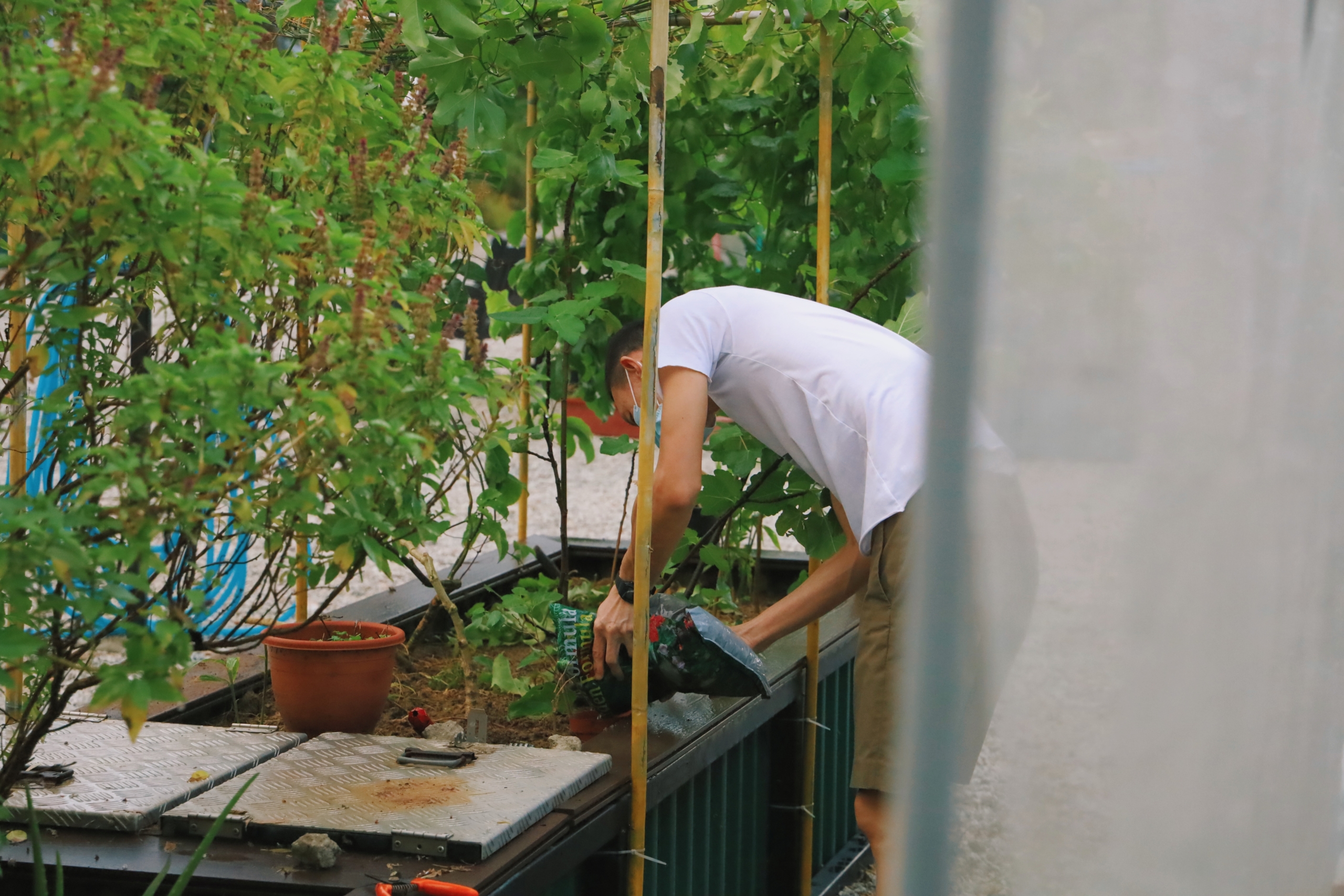 Food Systems in Singapore