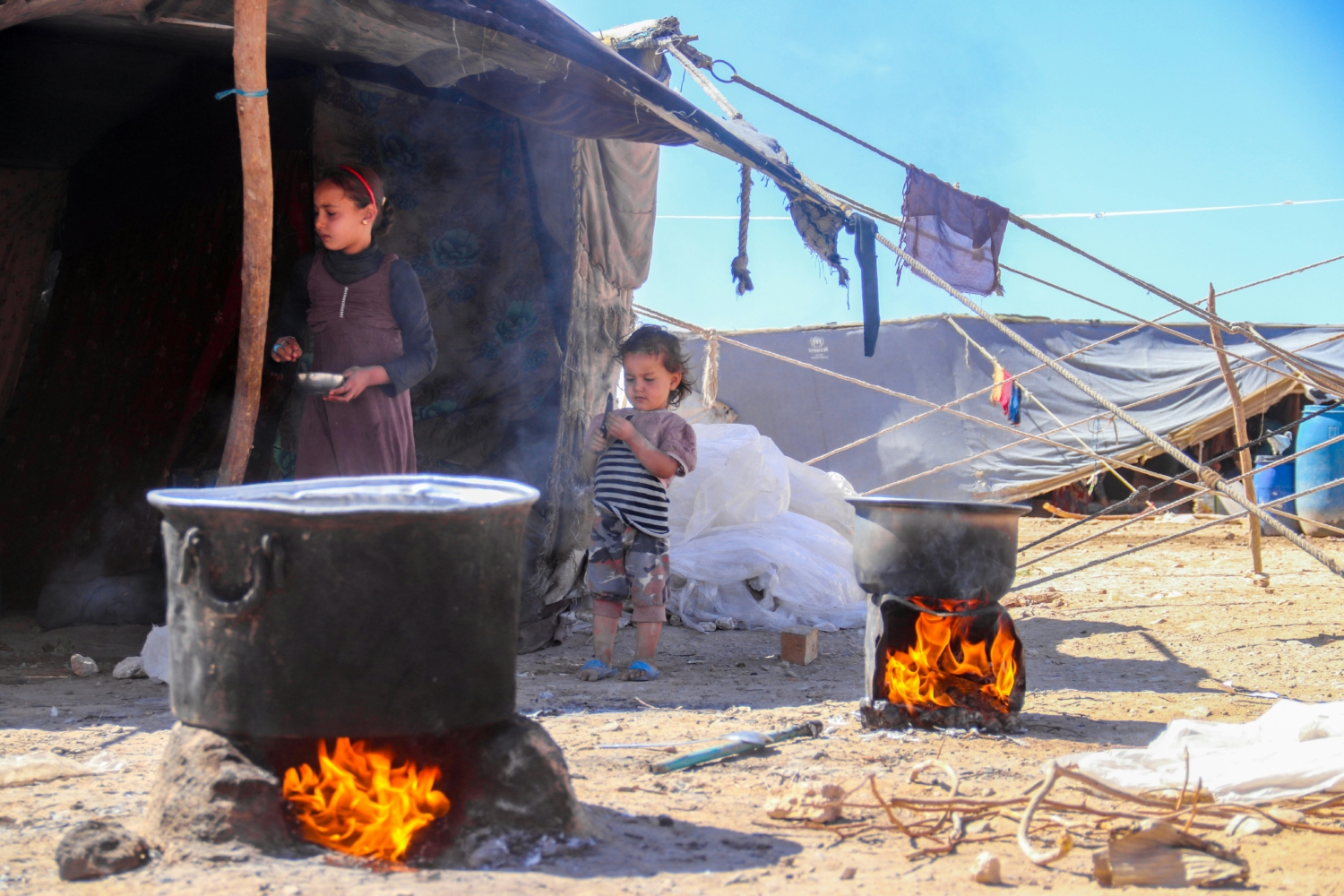 Food Systems in Yemen - The Borgen Project