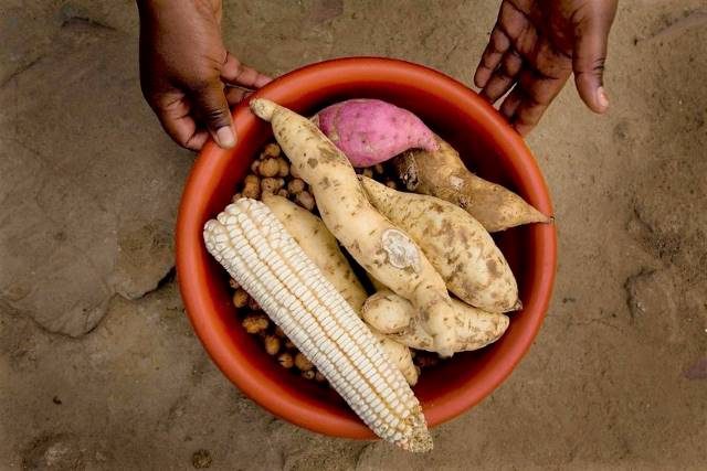 Food Vulnerability in West Africa