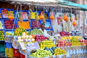 Food Waste Around the World