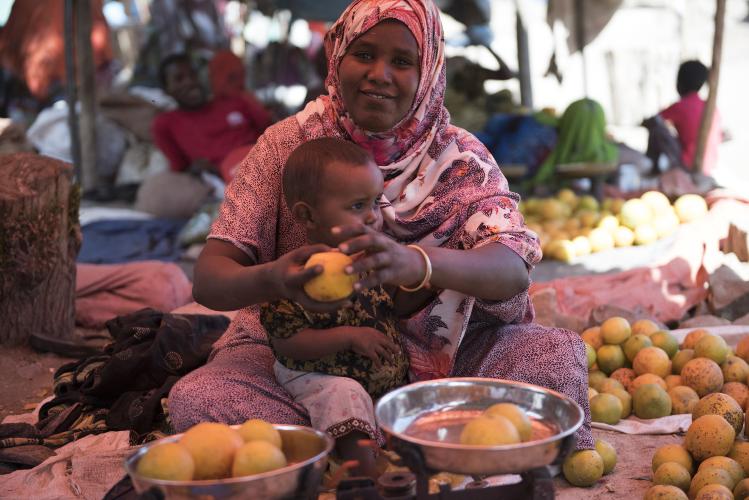 Solving the Food Insecurity Crisis in Somalia The Project