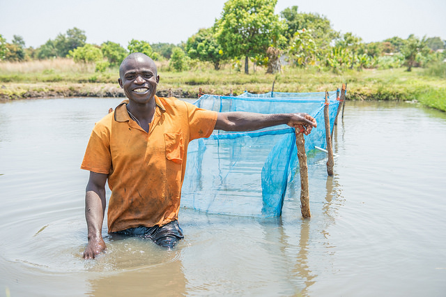 Kamuthanga Fish Farm The Borgen Project