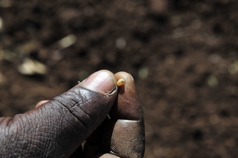 From Farm to Factory: Kenya's EPZ Strategy for Better Jobs