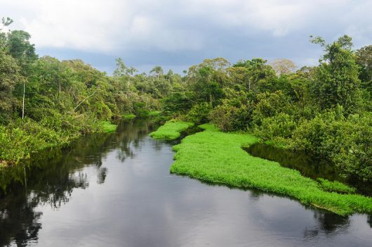 Why Gabon Poor When the Country is Rich in Natural Resources?