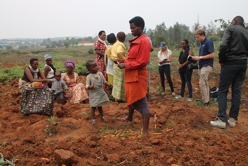 Gender Pay Gap in Rwanda