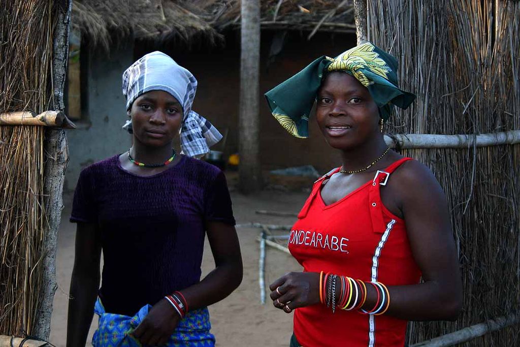 Gender Wage Gap in Mozambique