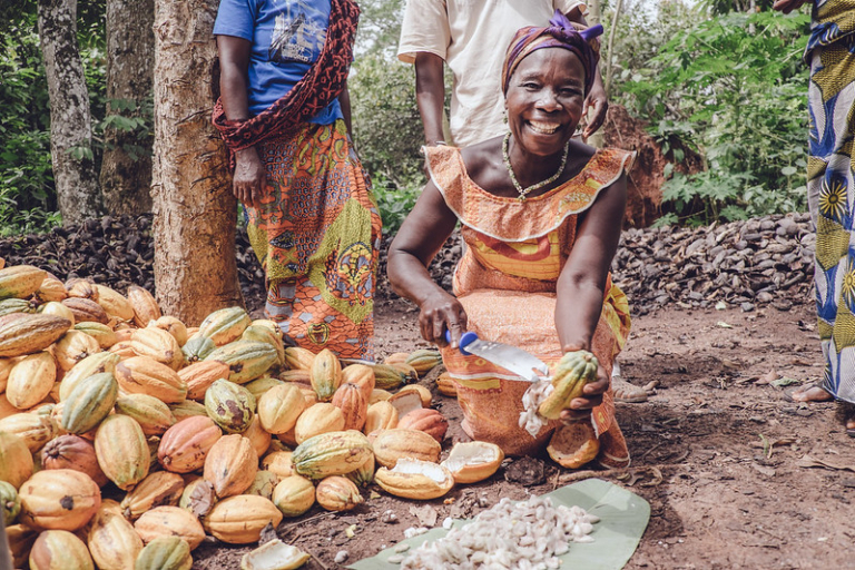 Ghana's Efforts in Cocoa Sustainability - The Borgen Project