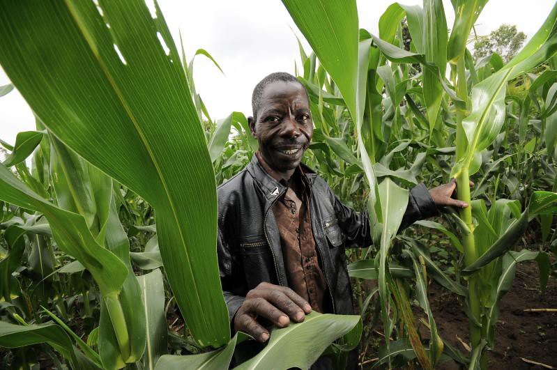 Green Skills in Sub-Saharan Africa: Powering Youth Employment 