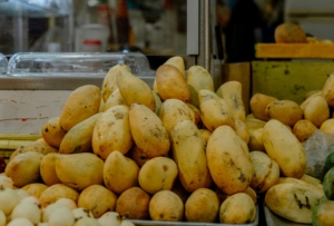 growing mangoes helps reduce poverty