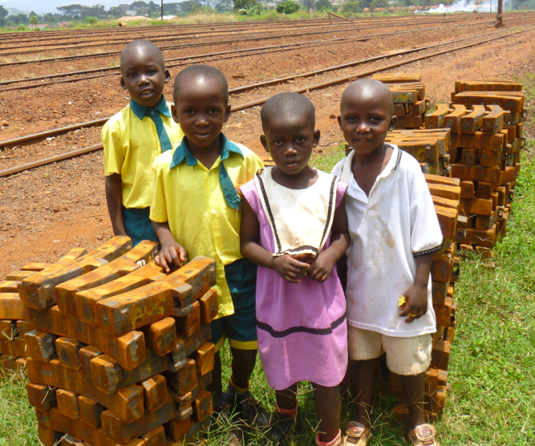 The Success in Eradicating Guinea Worm Disease The Project