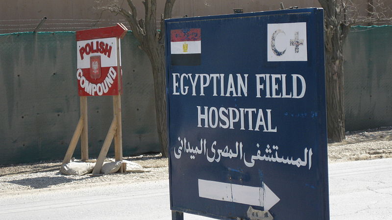 Healthcare in Egypt