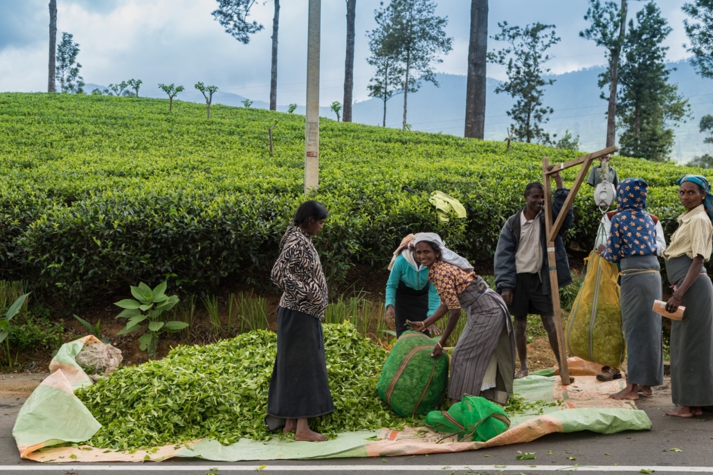 Healthcare in Sri Lanka