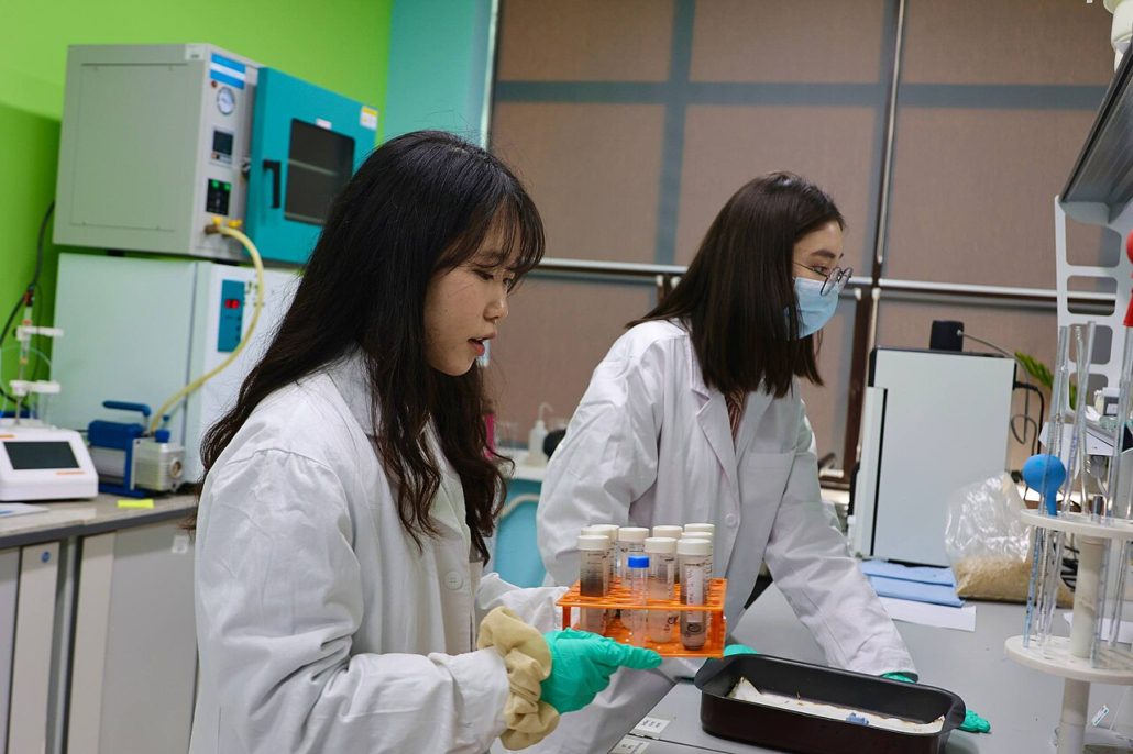 Higher Education in Kazakhstan