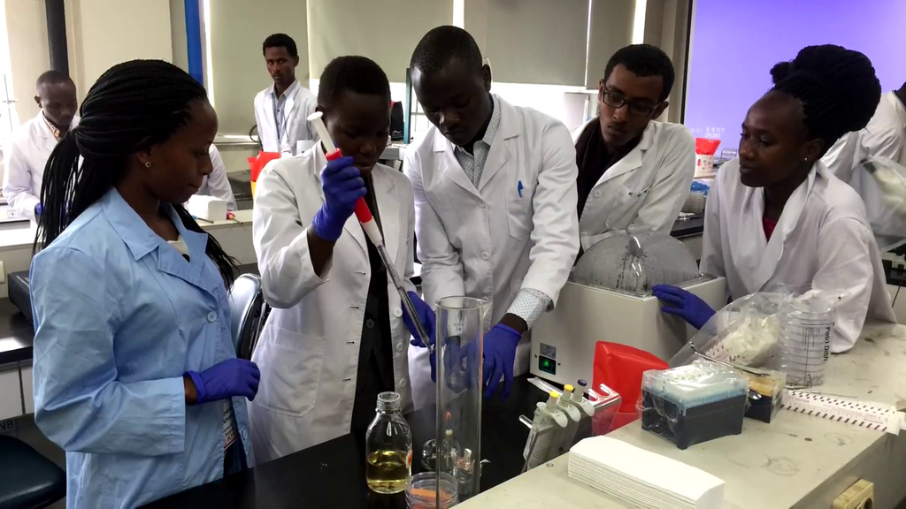 Higher Education in the Gambia