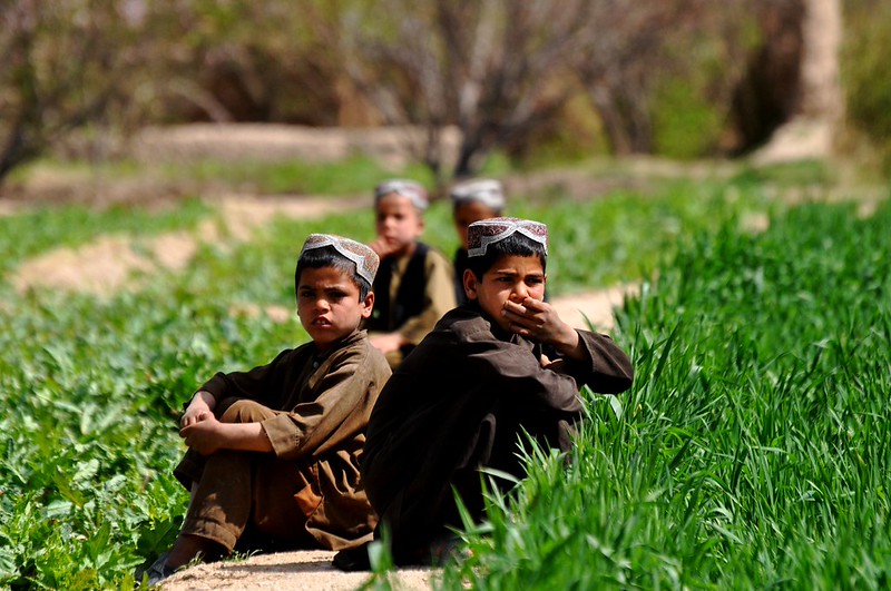 Agriculture in Afghanistan