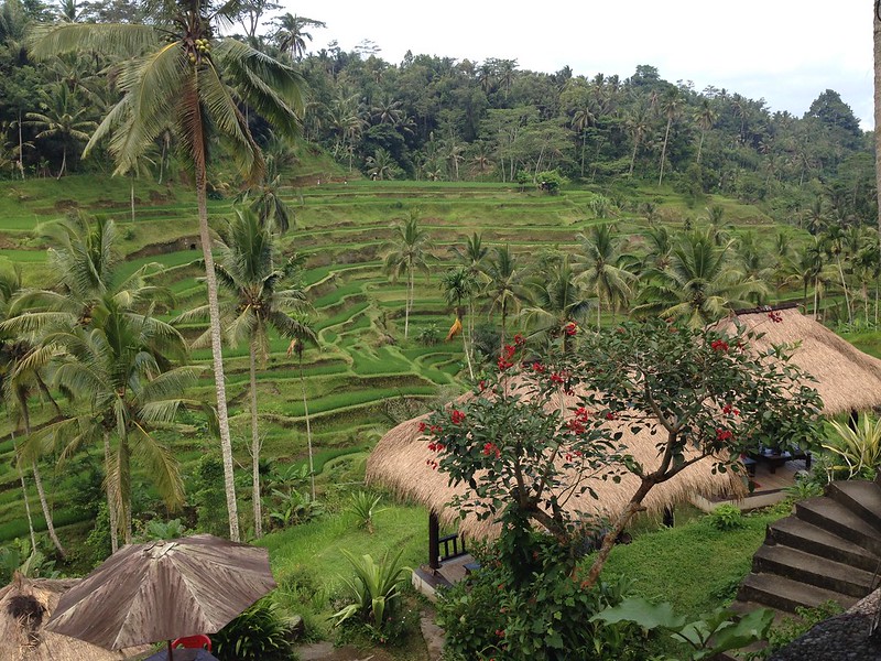 Poverty in Southeast Asia