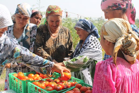 How to Help People in Tajikistan